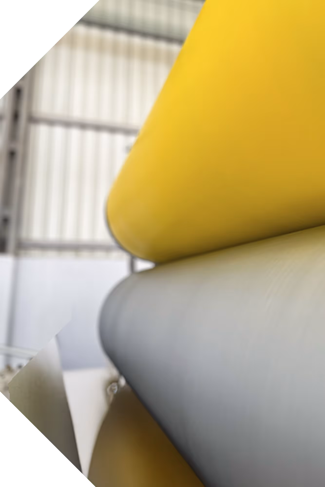 Person working in the office